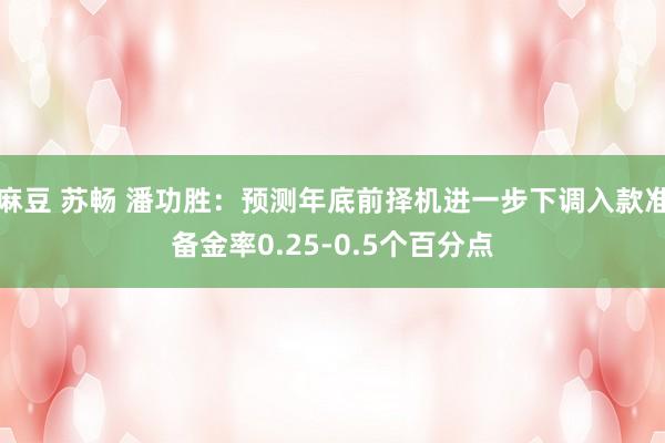 麻豆 苏畅 潘功胜：预测年底前择机进一步下调入款准备金率0.25-0.5个百分点