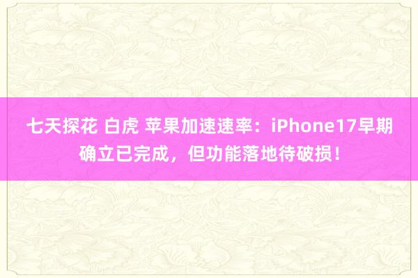 七天探花 白虎 苹果加速速率：iPhone17早期确立已完成，但功能落地待破损！
