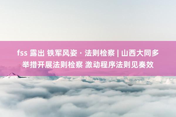 fss 露出 铁军风姿 · 法则检察 | 山西大同多举措开展法则检察 激动程序法则见奏效