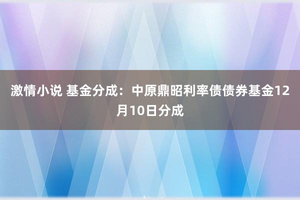 激情小说 基金分成：中原鼎昭利率债债券基金12月10日分成
