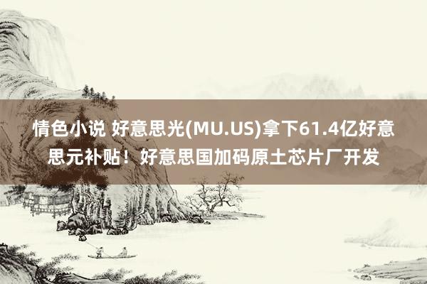 情色小说 好意思光(MU.US)拿下61.4亿好意思元补贴！好意思国加码原土芯片厂开发