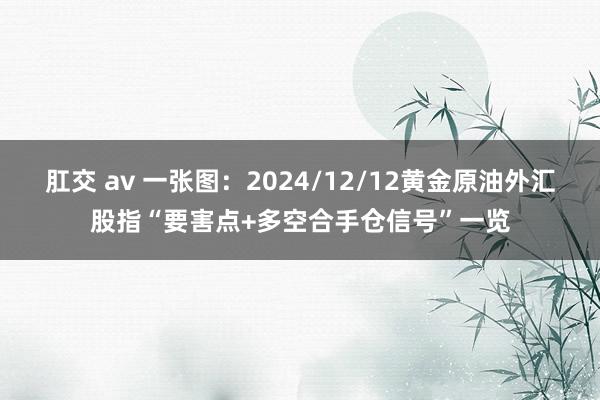 肛交 av 一张图：2024/12/12黄金原油外汇股指“要害点+多空合手仓信号”一览