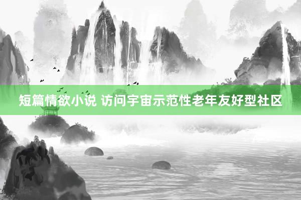 短篇情欲小说 访问宇宙示范性老年友好型社区