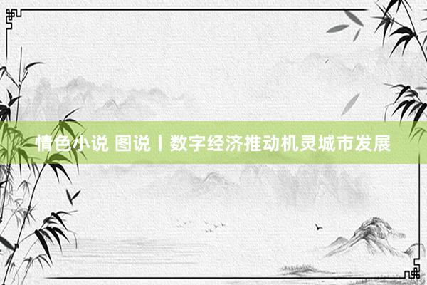 情色小说 图说丨数字经济推动机灵城市发展