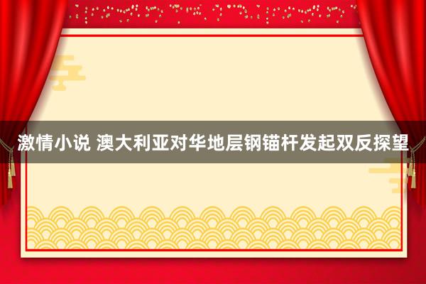 激情小说 澳大利亚对华地层钢锚杆发起双反探望
