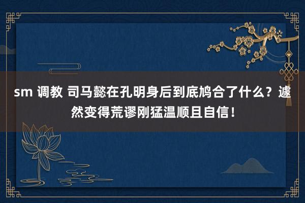 sm 调教 司马懿在孔明身后到底鸠合了什么？遽然变得荒谬刚猛温顺且自信！