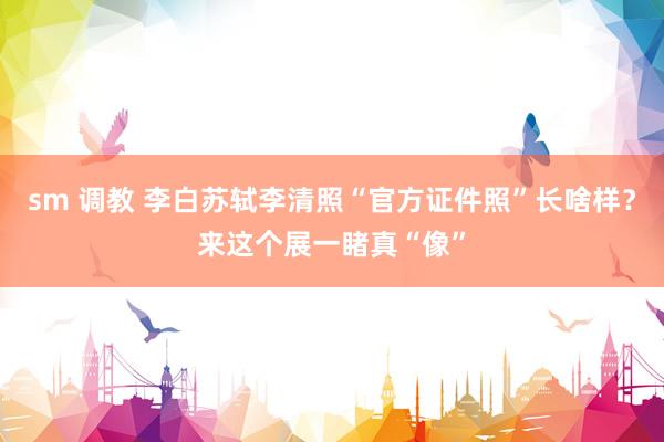 sm 调教 李白苏轼李清照“官方证件照”长啥样？来这个展一睹真“像”