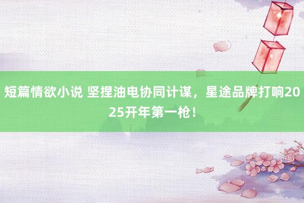 短篇情欲小说 坚捏油电协同计谋，星途品牌打响2025开年第一枪！