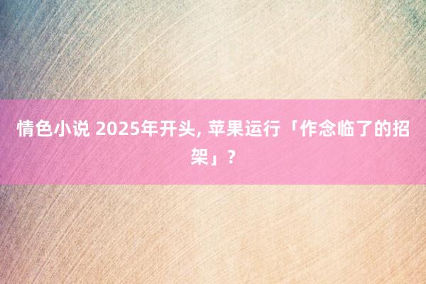 情色小说 2025年开头， 苹果运行「作念临了的招架」?