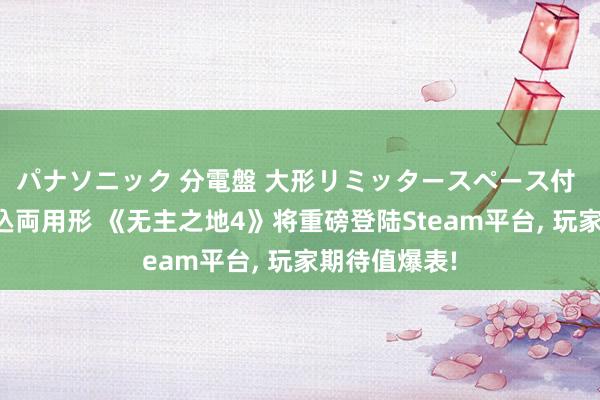 パナソニック 分電盤 大形リミッタースペース付 露出・半埋込両用形 《无主之地4》将重磅登陆Steam平台， 玩家期待值爆表!