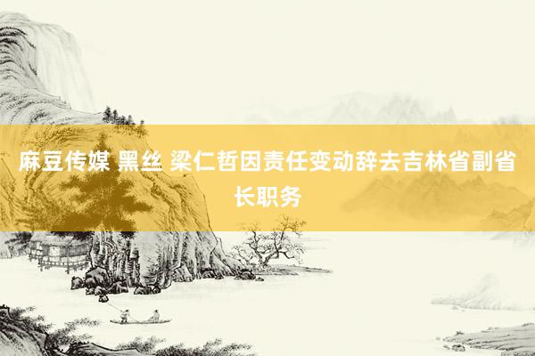 麻豆传媒 黑丝 梁仁哲因责任变动辞去吉林省副省长职务