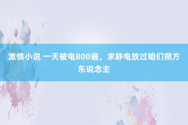 激情小说 一天被电800遍，求静电放过咱们朔方东说念主