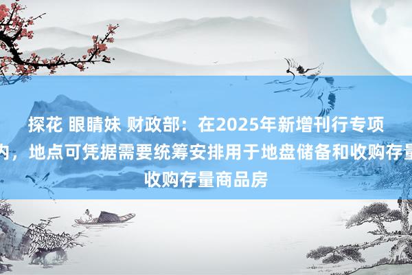 探花 眼睛妹 财政部：在2025年新增刊行专项债额度内，地点可凭据需要统筹安排用于地盘储备和收购存量商品房