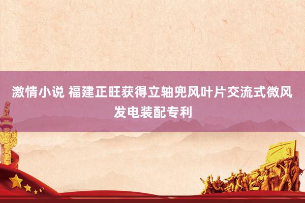 激情小说 福建正旺获得立轴兜风叶片交流式微风发电装配专利