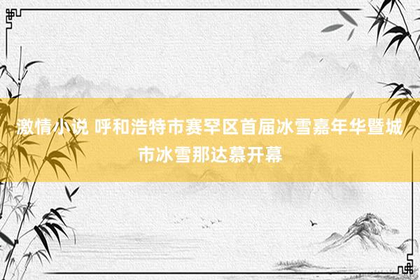 激情小说 呼和浩特市赛罕区首届冰雪嘉年华暨城市冰雪那达慕开幕