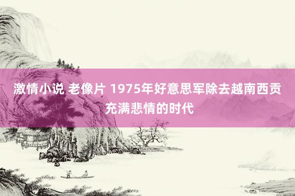 激情小说 老像片 1975年好意思军除去越南西贡 充满悲情的时代