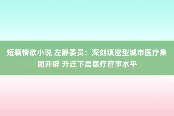 短篇情欲小说 左静委员：深刻缜密型城市医疗集团开辟 升迁下层医疗管事水平