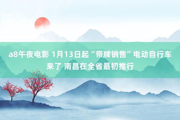 a8午夜电影 1月13日起“带牌销售”电动自行车来了 南昌在全省最初推行