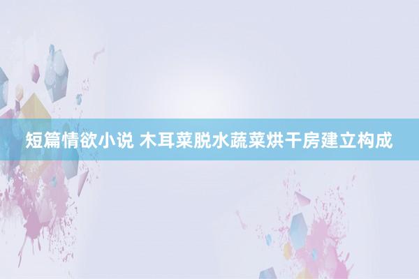 短篇情欲小说 木耳菜脱水蔬菜烘干房建立构成