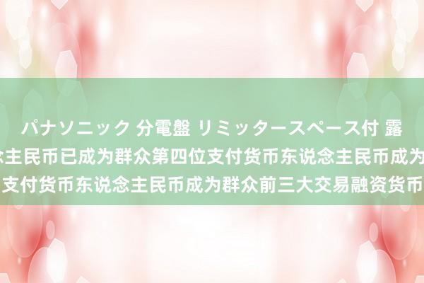 パナソニック 分電盤 リミッタースペース付 露出・半埋込両用形 东说念主民币已成为群众第四位支付货币东说念主民币成为群众前三大交易融资货币