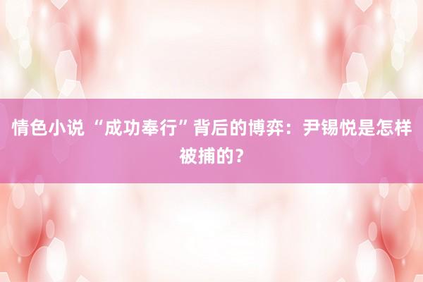 情色小说 “成功奉行”背后的博弈：尹锡悦是怎样被捕的？
