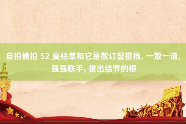 自拍偷拍 52 夏枯草和它是散订盟搭档， 一散一清， 强强联手， 拔出结节的根