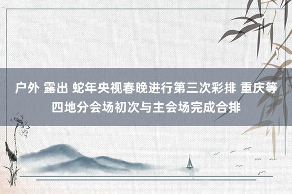 户外 露出 蛇年央视春晚进行第三次彩排 重庆等四地分会场初次与主会场完成合排