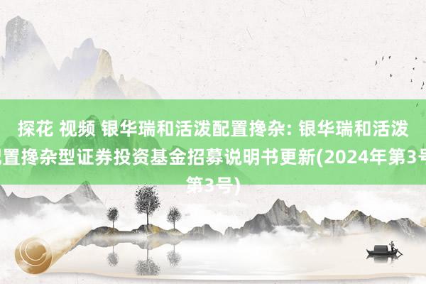 探花 视频 银华瑞和活泼配置搀杂: 银华瑞和活泼配置搀杂型证券投资基金招募说明书更新(2024年第3号)