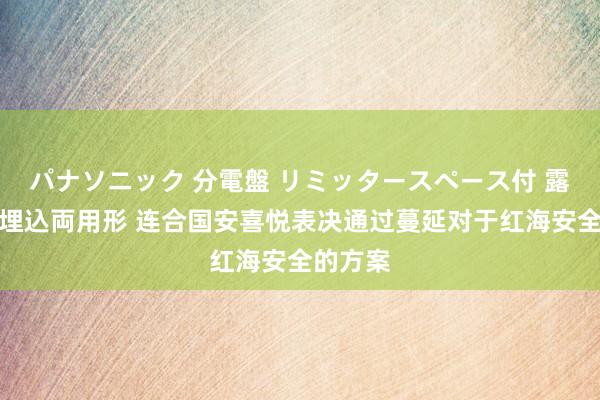 パナソニック 分電盤 リミッタースペース付 露出・半埋込両用形 连合国安喜悦表决通过蔓延对于红海安全的方案