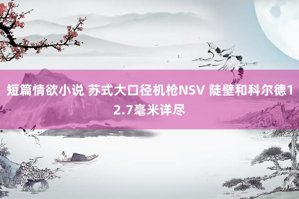 短篇情欲小说 苏式大口径机枪NSV 陡壁和科尔德12.7毫米详尽