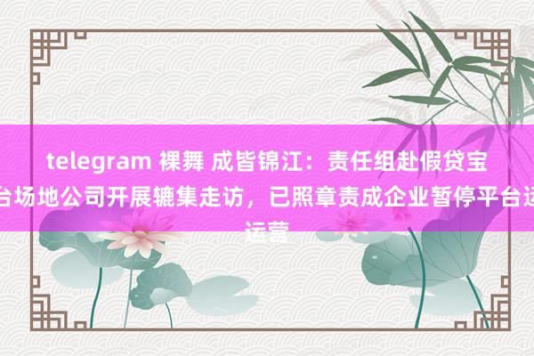 telegram 裸舞 成皆锦江：责任组赴假贷宝平台场地公司开展辘集走访，已照章责成企业暂停平台运营