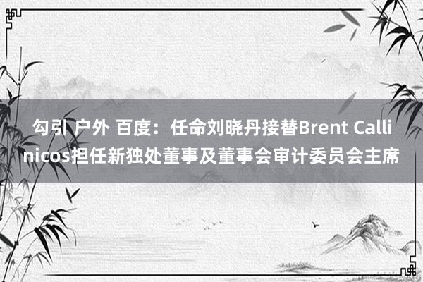 勾引 户外 百度：任命刘晓丹接替Brent Callinicos担任新独处董事及董事会审计委员会主席