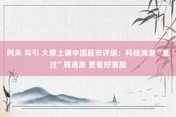阿朱 勾引 大摩上调中国股市评级：科技海潮“盖过”弱通胀 更看好港股