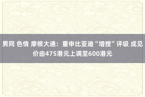 男同 色情 摩根大通：重申比亚迪“增捏”评级 成见价由475港元上调至600港元