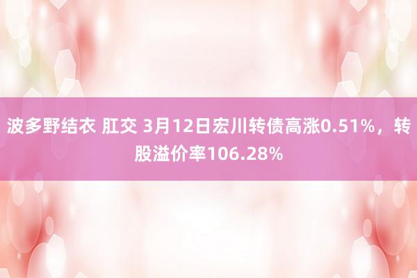 波多野结衣 肛交 3月12日宏川转债高涨0.51%，转股溢价率106.28%