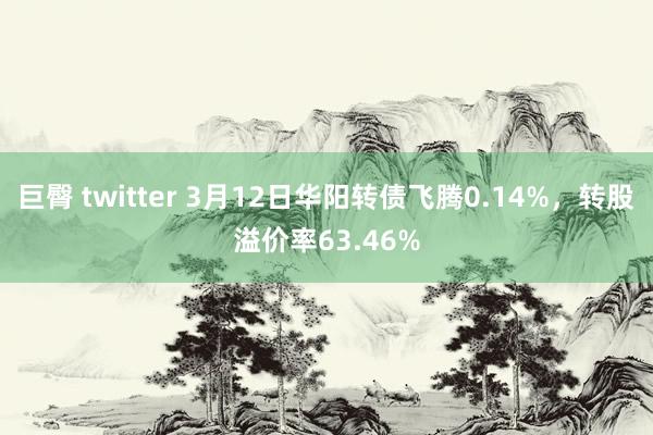 巨臀 twitter 3月12日华阳转债飞腾0.14%，转股溢价率63.46%