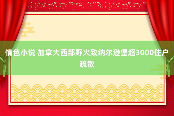 情色小说 加拿大西部野火致纳尔逊堡超3000住户疏散