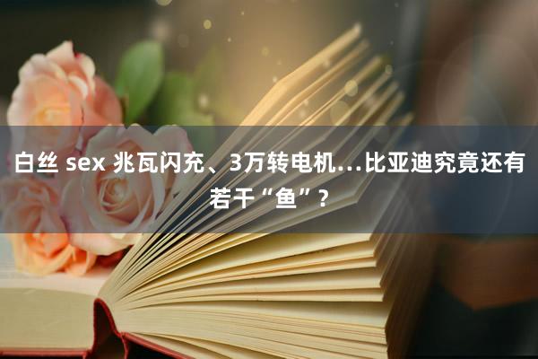 白丝 sex 兆瓦闪充、3万转电机…比亚迪究竟还有若干“鱼”？