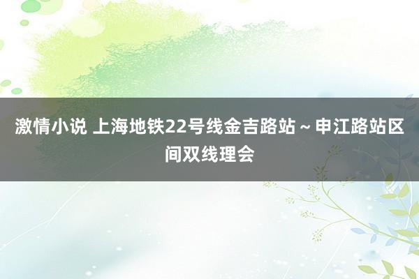 激情小说 上海地铁22号线金吉路站～申江路站区间双线理会