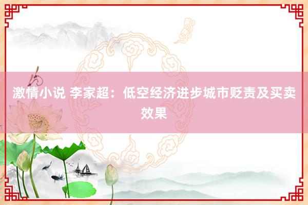 激情小说 李家超：低空经济进步城市贬责及买卖效果