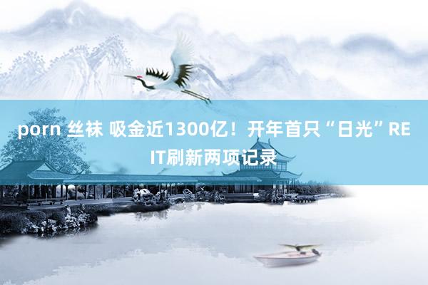 porn 丝袜 吸金近1300亿！开年首只“日光”REIT刷新两项记录