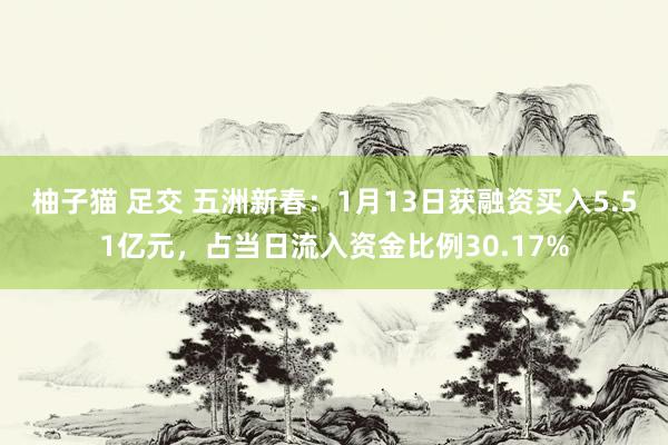 柚子猫 足交 五洲新春：1月13日获融资买入5.51亿元，占当日流入资金比例30.17%
