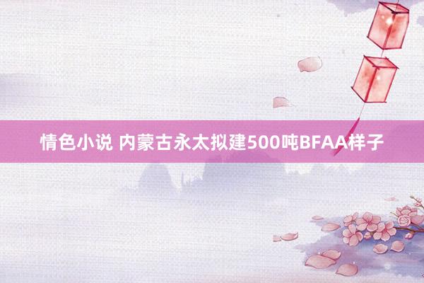 情色小说 内蒙古永太拟建500吨BFAA样子