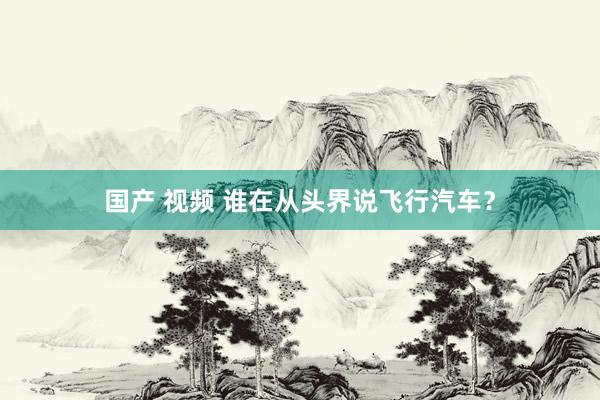 国产 视频 谁在从头界说飞行汽车？