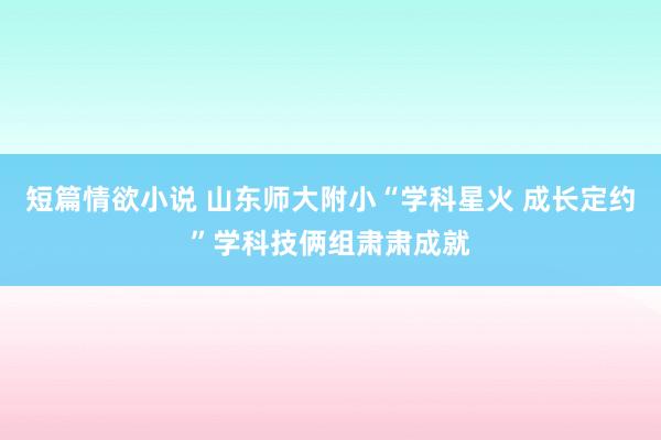 短篇情欲小说 山东师大附小“学科星火 成长定约”学科技俩组肃肃成就
