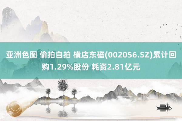 亚洲色图 偷拍自拍 横店东磁(002056.SZ)累计回购1.29%股份 耗资2.81亿元