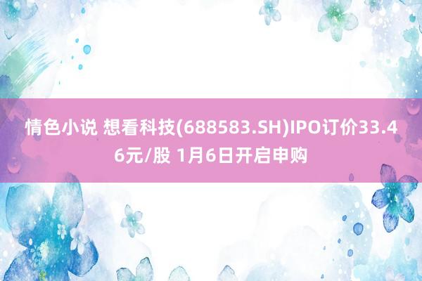 情色小说 想看科技(688583.SH)IPO订价33.46元/股 1月6日开启申购