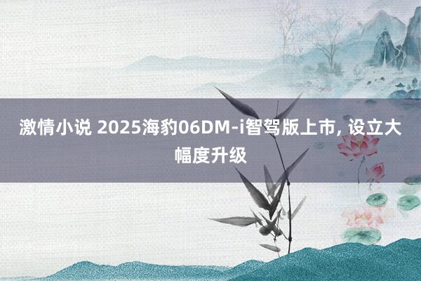 激情小说 2025海豹06DM-i智驾版上市， 设立大幅度升级