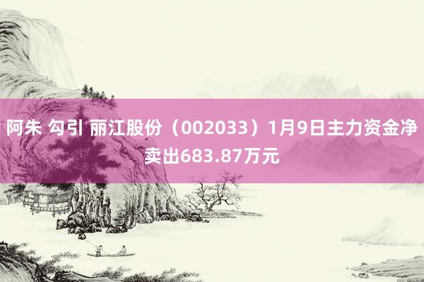 阿朱 勾引 丽江股份（002033）1月9日主力资金净卖出683.87万元
