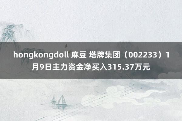 hongkongdoll 麻豆 塔牌集团（002233）1月9日主力资金净买入315.37万元